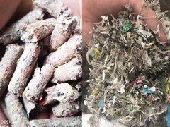 2000 godzin Wysypisko MSW RDF WASTE Maszyna do wytwarzania peletów 7,5kw